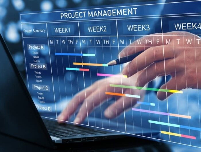 A project manager reviews a Gantt chart on a computer screen, indicating the need for better project management and integration of a claims management system.